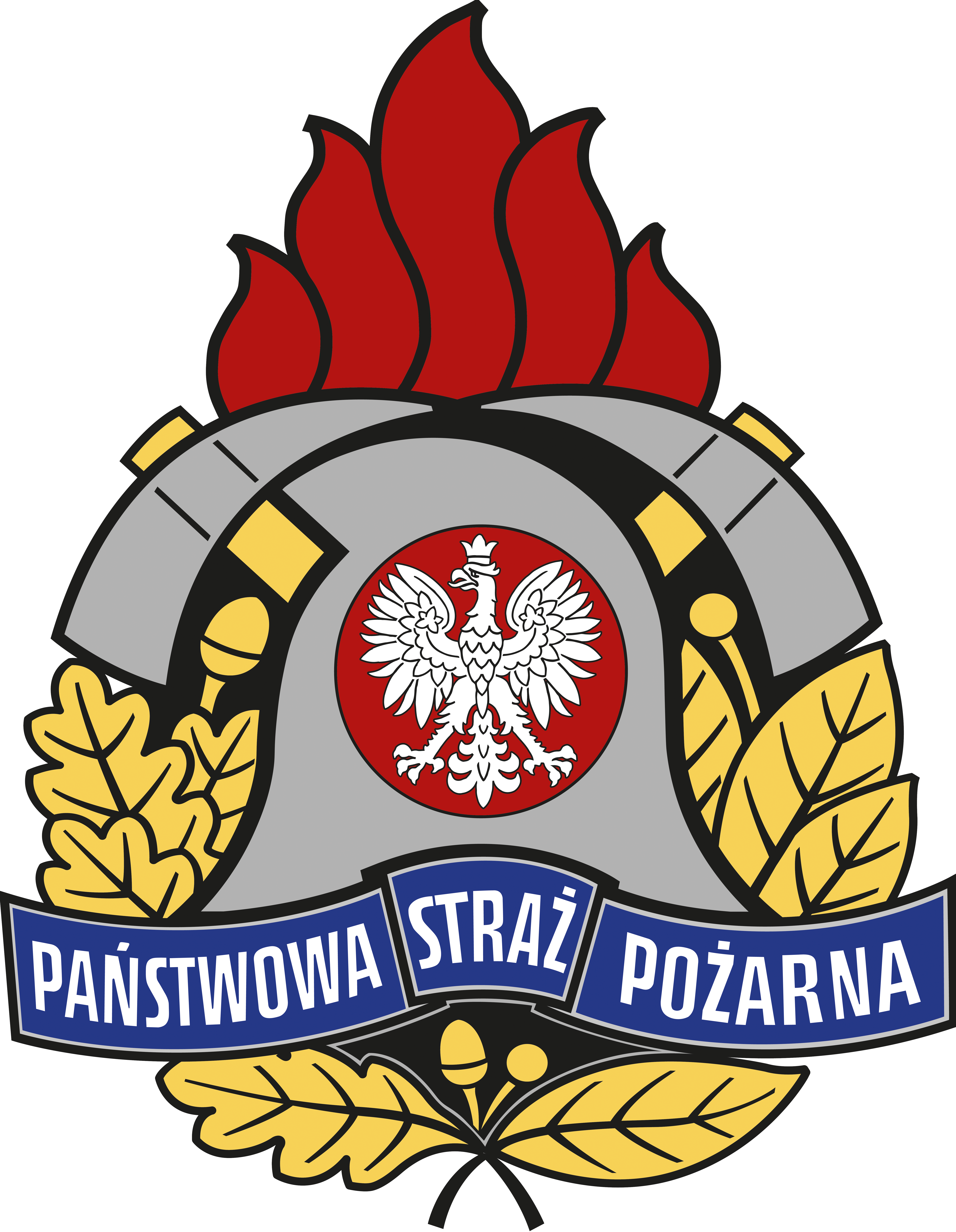 Logo PSP
